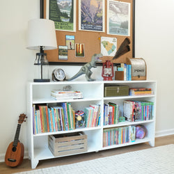 Bookshelf in a cozy room with books, decor, and educational themes.