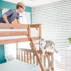 Boy leaning on wooden bunk bed as gray-and-white cat climbs ladder in bright modern teal-striped kids bedroom