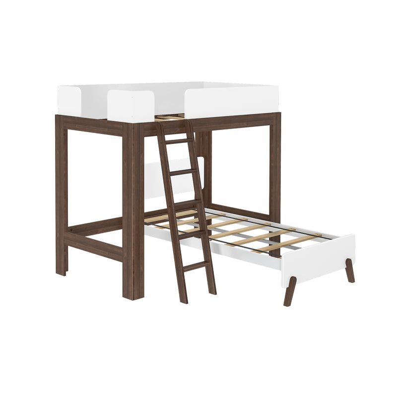 Modern twin loft bed with walnut wood frame, white guardrails, ladder and pull-out trundle with slatted mattress support