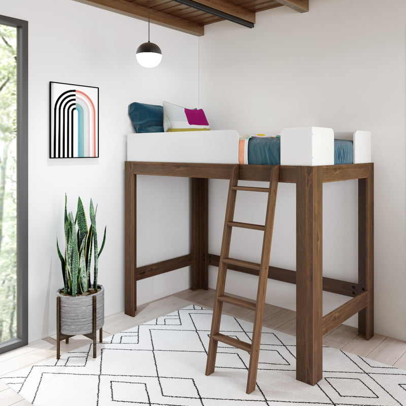 Modern wooden loft bed with ladder in a minimalist kids' bedroom, geometric rug, snake plant, hanging pendant light and framed rainbow wall art