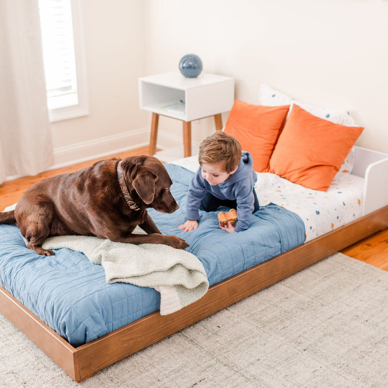 Toddler boy playing with a wooden toy car on a bed with a chocolate Labrador in a cozy kids' bedroom with a blue quilt and orange pillows