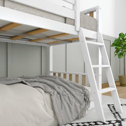 White bunk bed with ladder in modern bedroom setting, featuring cozy bedding and indoor plant.