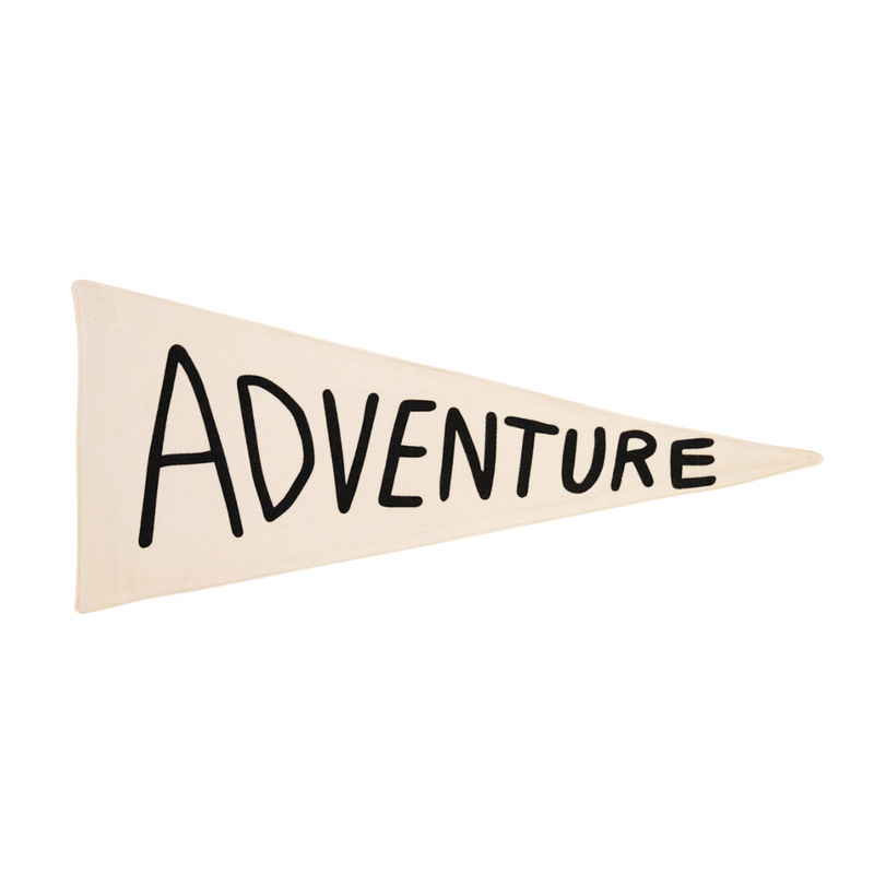 adventure pennant wall flag