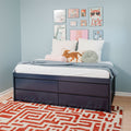 Children's bedroom twin storage bed with built-in drawers, pastel blue walls, gallery wall art, tiger accent pillow and red geometric rug