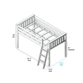 Isometric diagram of a twin loft bed frame with ladder, slatted mattress support and guardrails, labeled dimensions: 81.5" long, 54.25" overall width, 42.5" mattress width, 50" total height and 31" under-bed clearance.