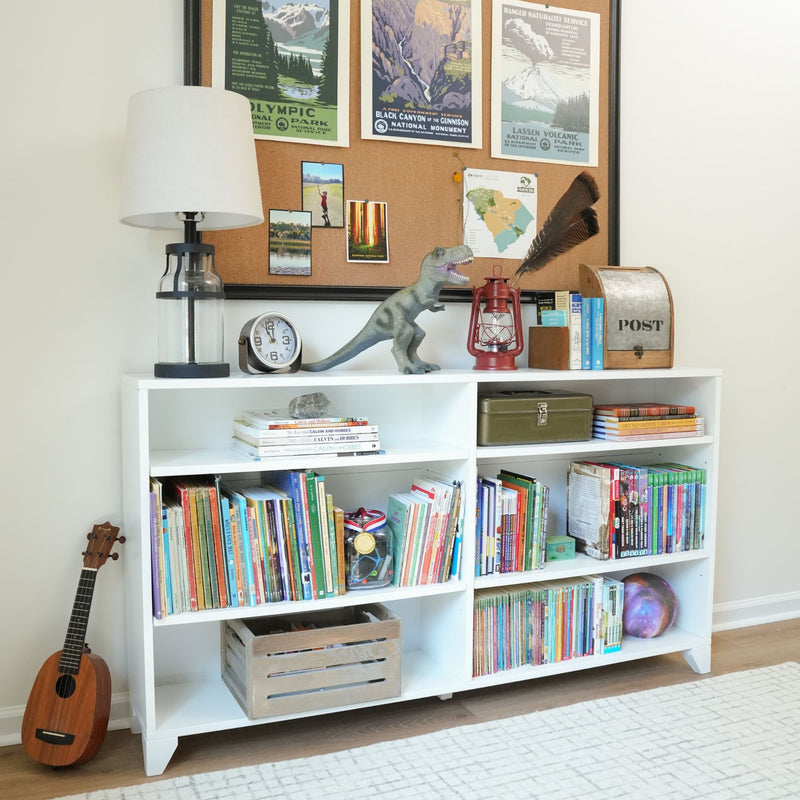 Bookshelf in a cozy room with books, decor, and educational themes.