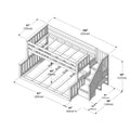 Isometric technical diagram of a wooden twin-over-full bunk bed with staircase storage, guardrails and labeled dimensions in inches and centimeters (100" x 81" x 50" / 255cm x 205cm x 127cm)