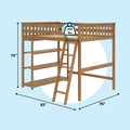 Natural wood twin loft bed with ladder, built-in desk and shelves underneath, 400 lb weight capacity, 70″ H × 82″ L × 76″ W, space-saving wooden loft bed