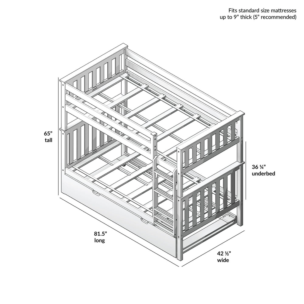 Wooden twin bunk bed frame with dimensions 65 inches tall, 81.5 inches long, and 42.5 inches wide, fits standard mattresses up to 9 inches thick.