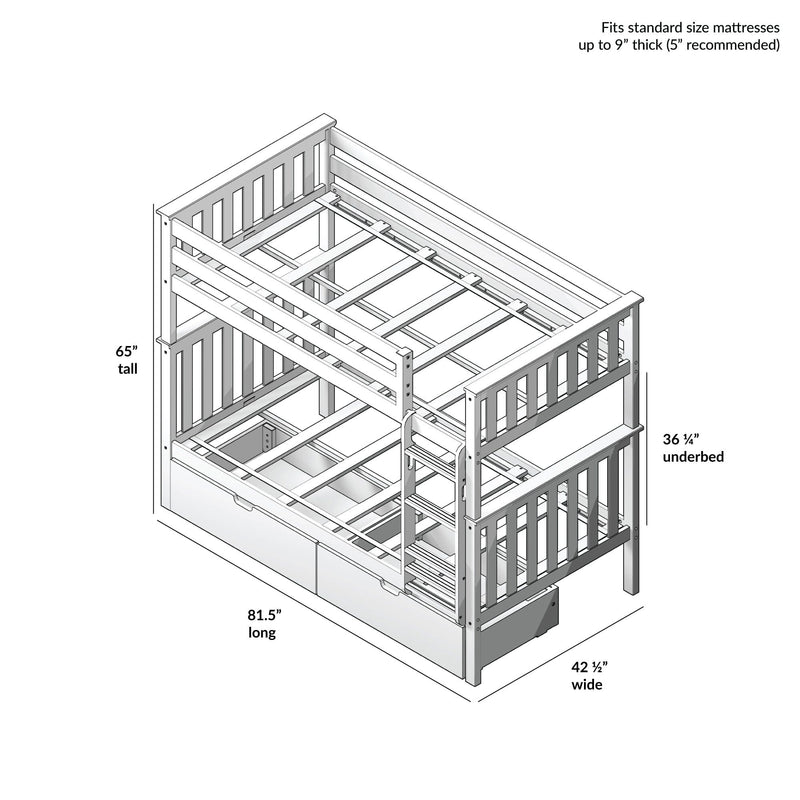 White wooden bunk bed dimensions diagram, featuring measurements: 65 inches tall, 81.5 inches long, 42.5 inches wide, with 36 ¾ inches under bed storage space.