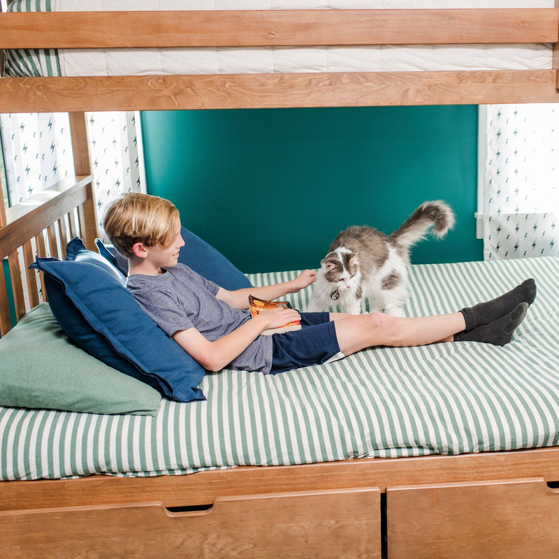 Boy reading on bed with a cat in a cozy bedroom setting.
