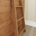 Close-up of a light wood leaning ladder against wood-paneled wall in an interior room with beige wainscoting and textured carpet