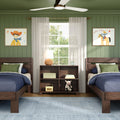 Modern Farmhouse Twin Plank Bed