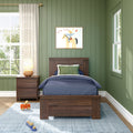 Modern Farmhouse Twin Panel Bed
