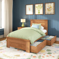 Modern Farmhouse Twin Panel Bed With Storage Drawers