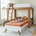 Modern wooden kids bunk bed with ladder in bright children's bedroom, rust-orange bedding, boy drawing on lower bed with plush dinosaur and bedside table