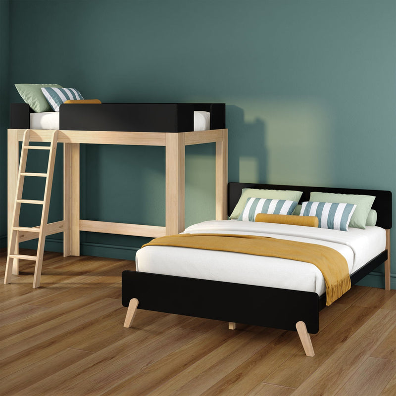 Modern kids bedroom with light wood loft bed and black-framed full bed, wooden ladder, teal wall, striped pillows and mustard throw