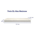 Twin XL mattress dimensions illustration: 8-inch thick foam Twin XL mattress, 79.5" long x 38.5" wide, two-layer construction on white background
