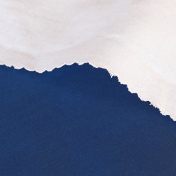 Blue/White