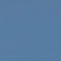 Misty Blue
